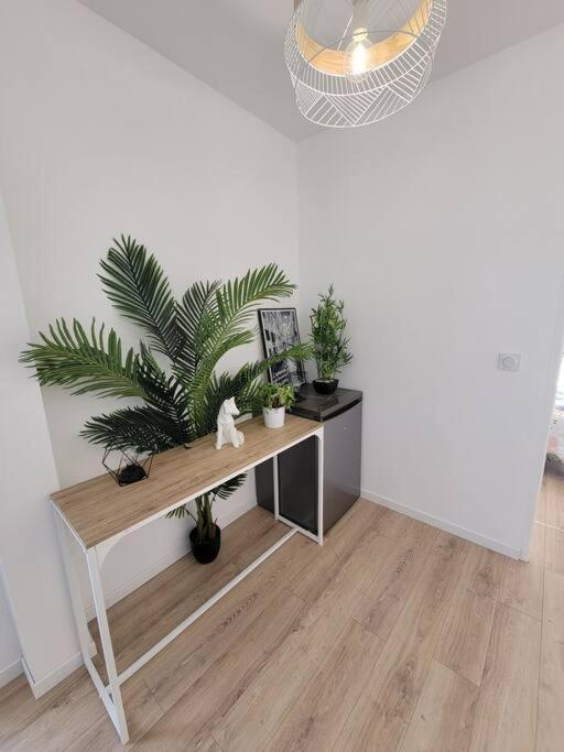 Superbe T2 Avec Parking Apartment Albi Exterior photo